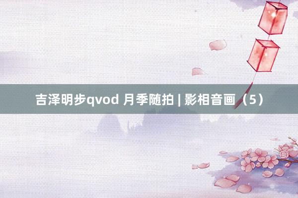 吉泽明步qvod 月季随拍 | 影相音画（5）