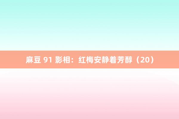 麻豆 91 影相：红梅安静着芳醇（20）
