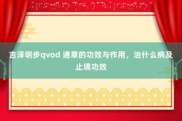 吉泽明步qvod 通草的功效与作用，治什么病及止境功效